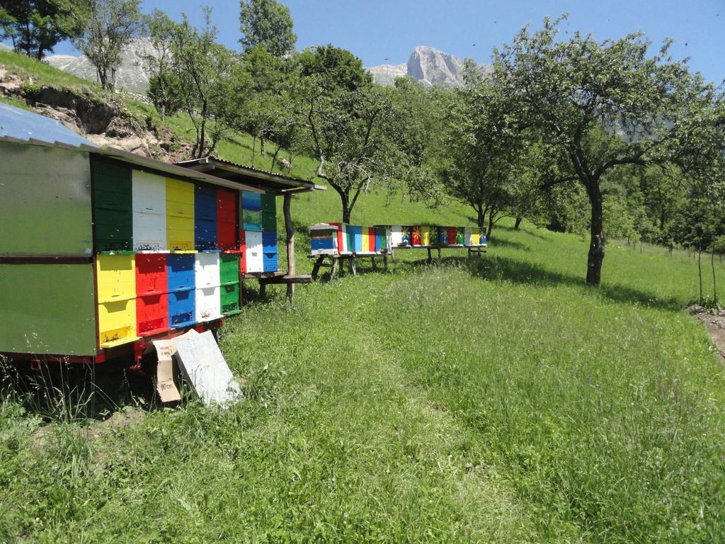 Apartma Skubin Daire Kobarid Oda fotoğraf